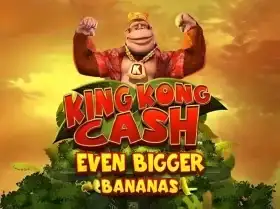 bet365 bị bắt