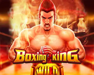 1xbet partenaire apk